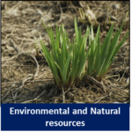Environmental and Natural resources